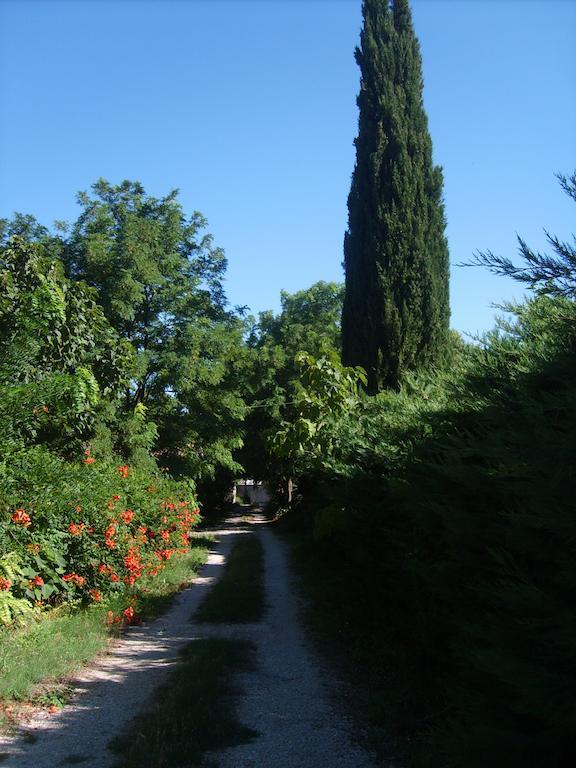 Le Clos Martin Eyragues Bagian luar foto