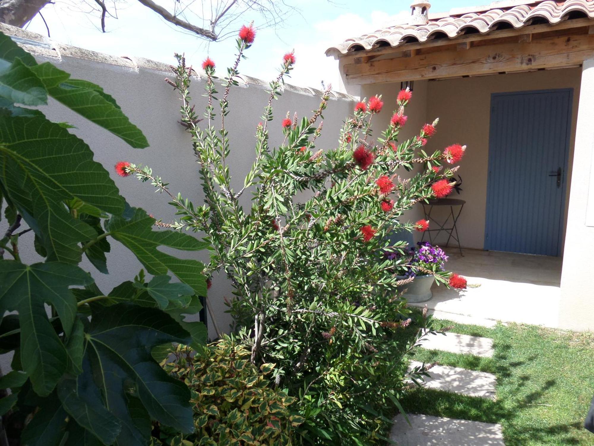 Le Clos Martin Eyragues Bagian luar foto